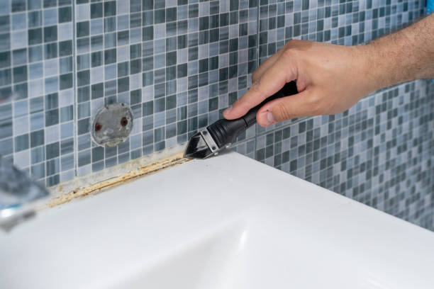 Best Mold Damage Repair  in Manor, PA